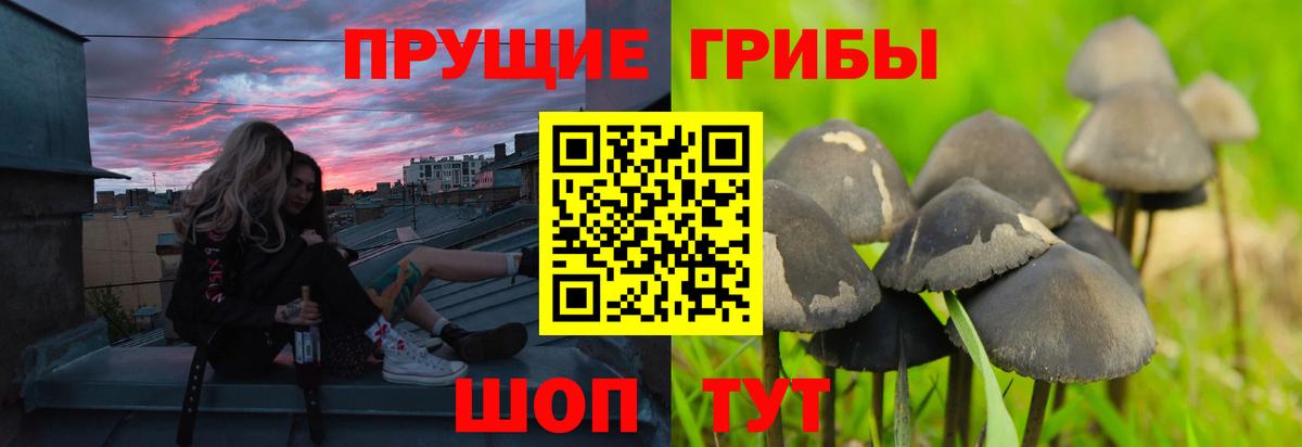 Галлюциногенные грибы Psilocybine cubensis  купить наркотики сайты  Когалым  Вход с VPN 